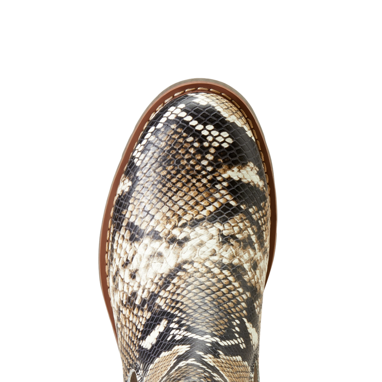 Ariat Ladies Wexford Chelsea Snake Print Boots 10046975