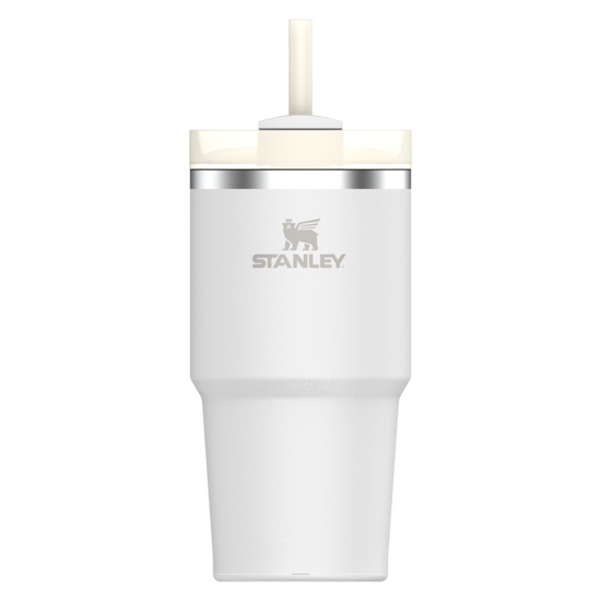 Stanley Quencher H2.0 FlowState™ 20oz Frost Tumbler 10-10826-145