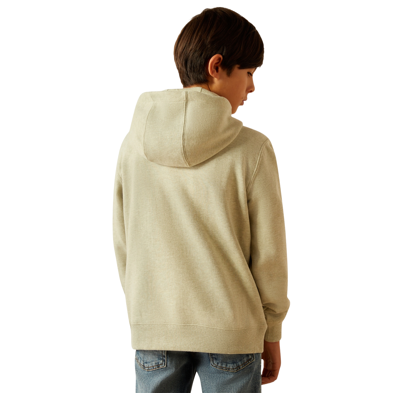 Ariat Boys Sage Heather Logo Hoodie 10055413