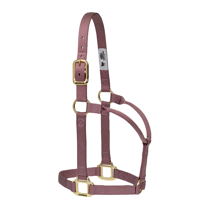 Weaver Original Non-Adjustable 1" Halter Large