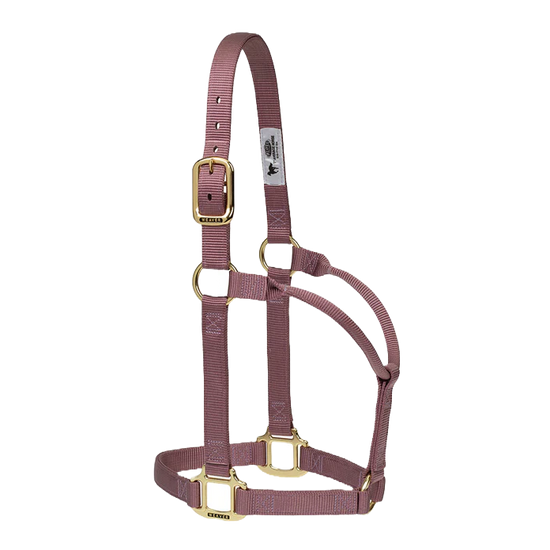 Weaver Original Non-Adjustable 1" Halter Large