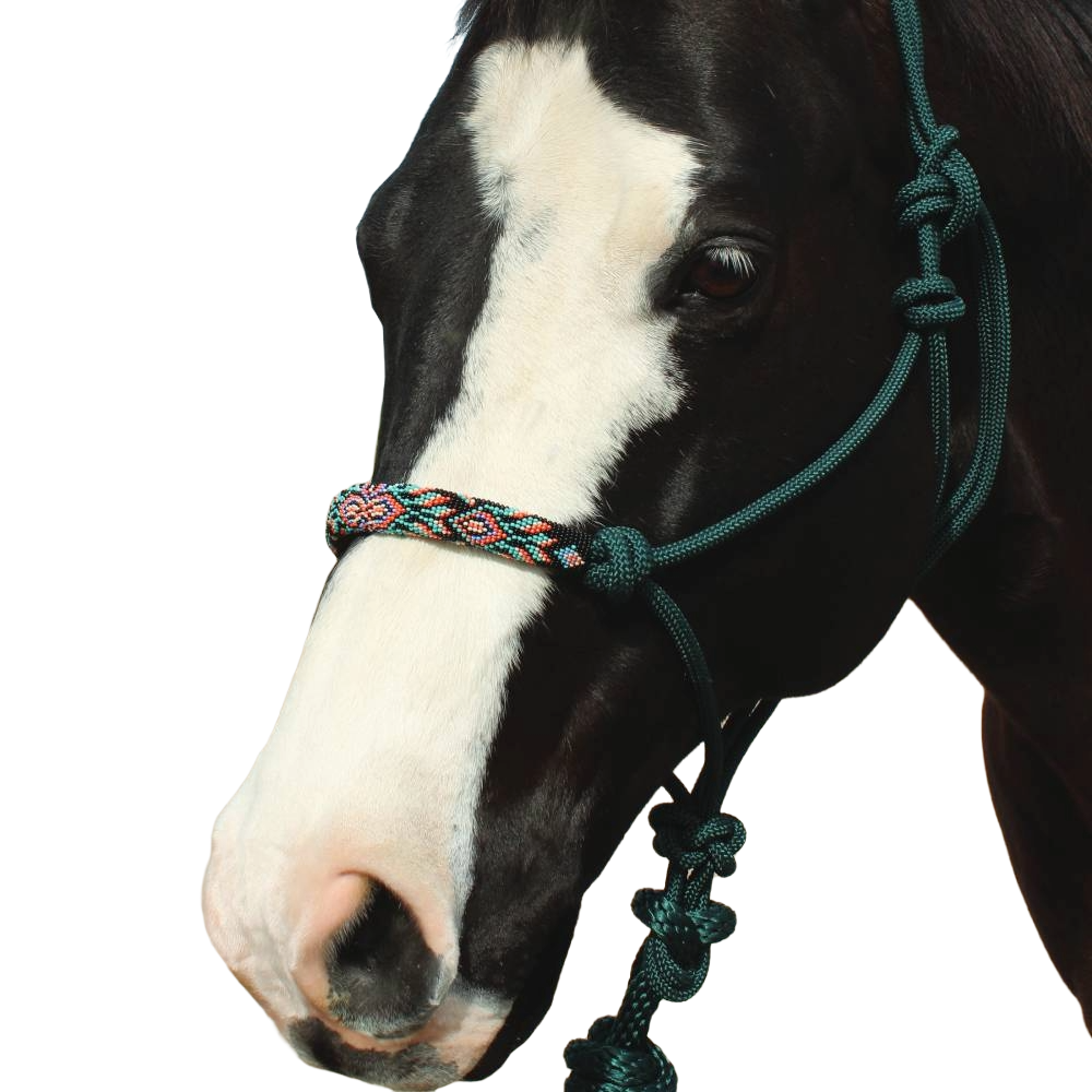 EASY ON ROPE HALTER WITH LEAD