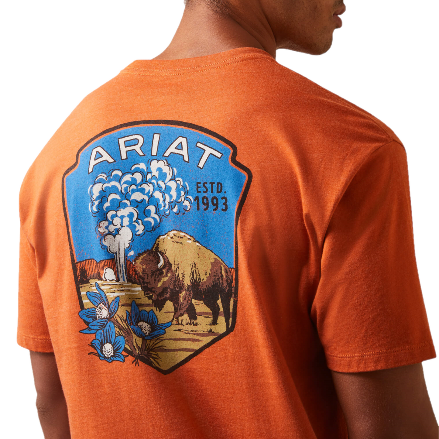 Ariat® Men's Old Faithful Adobe Heather Graphic T-Shirt 10044784